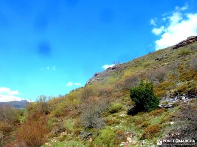 Alto Campoo;Parque Natural Saja-Besaya;viajes junio donde esta el parque nacional de cabañeros espa